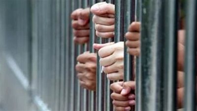 المشدد 10 سنوات لشقيقين لاتجارهما في المواد المخدرة بالخانكة