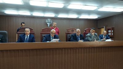 المشدد 5 سنوات للمتهمين بإصابة شخص بطلق ناري وحيازة أسلحة بشبرا الخيمة