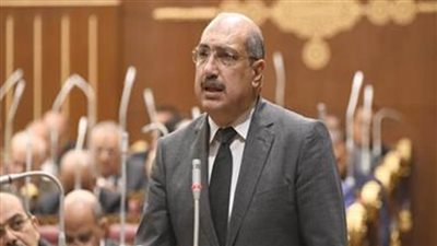 النائب إيهاب وهبة يطالب الحكومة بإنشاء مراكز تنمية شبابية جديدة ذات قيمة اقتصادية