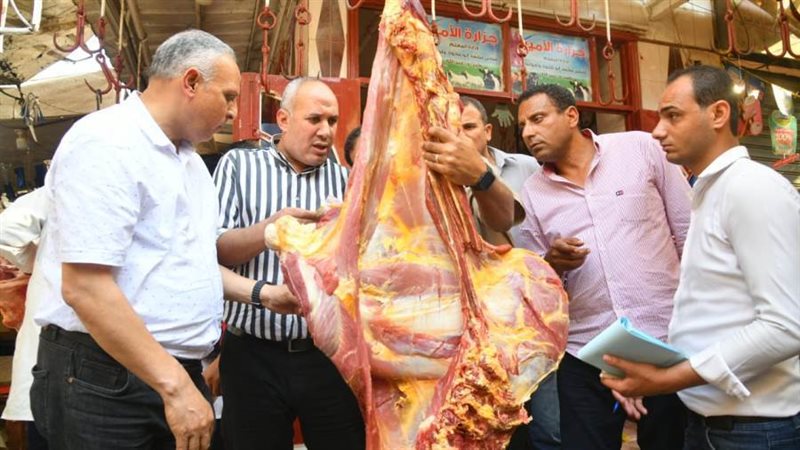 حملات الطب البيطرى