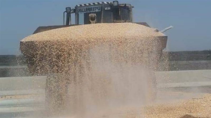 جانب من الحادث