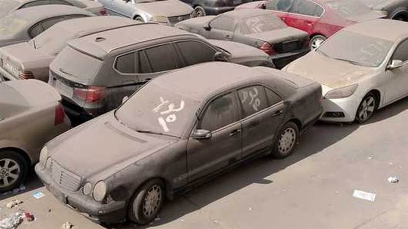 صورة أرشيفية - روزا