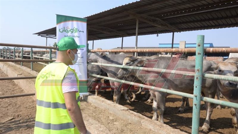 صكوك الأضاحي