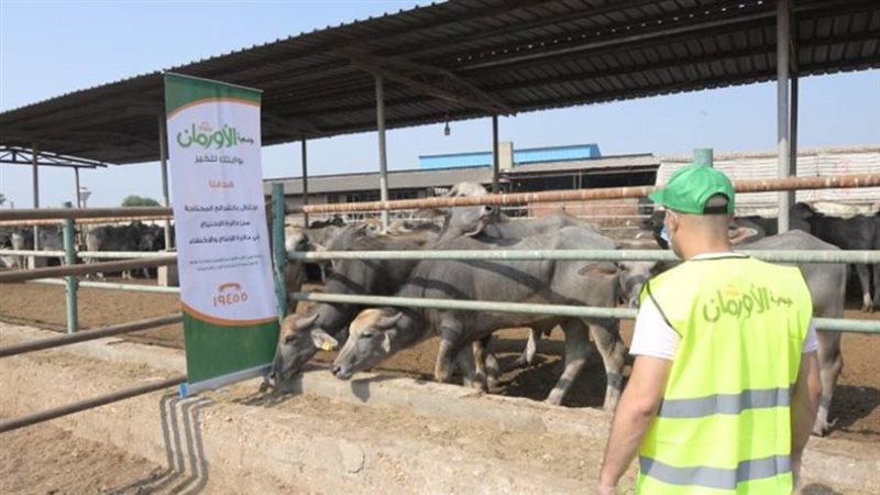 حملة صكوك الأضاحي