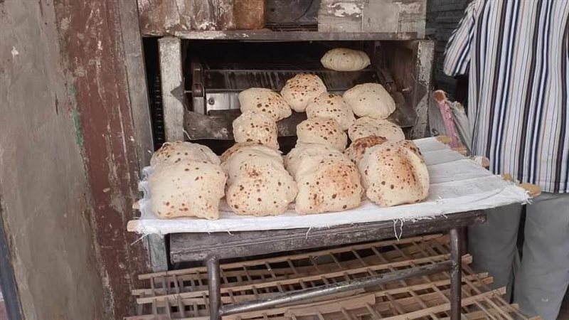 حملات تموينية متنوعة