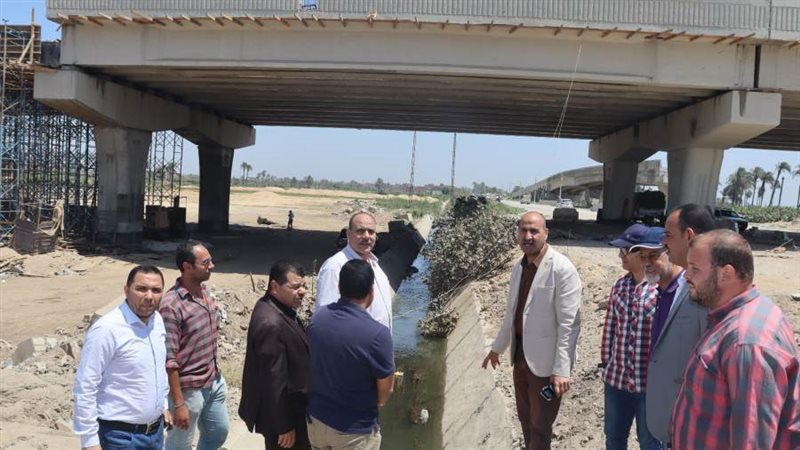 محور الفشن على النيل