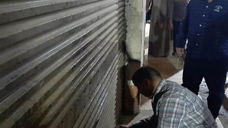 بوابة روز اليوسف