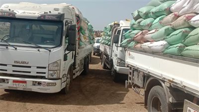 توريد 174208 أطنان و992 كيلو قمح محلي بكفر الشيخ