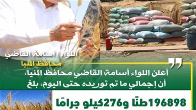 محافظ المنيا: توريد 197 ألف طن قمح بالشون والصوامع