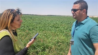 مدير الإدارة الزراعية بمستقبل مصر: المشروع يسد الفجوة الاستيرادية