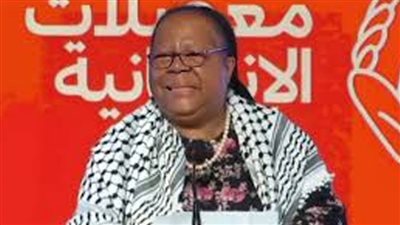 وزيرة خارجية جنوب إفريقيا: انضمام مصر للدعوى ضد إسرائيل يعطي زخما أكبر للقضية الفلسطينية