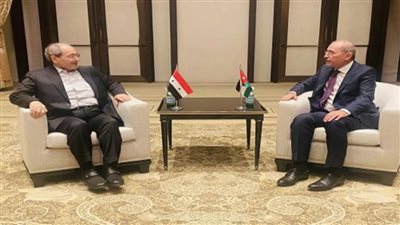 وزيرا خارجية الأردن وسوريا يبحثان سبل الحفاظ على وحدة الأراضي السورية