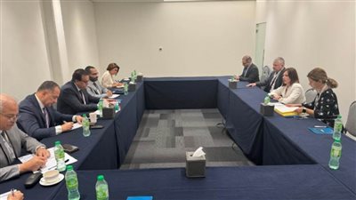 وزير الصحة يبحث مع نظيرته الأرمينية التعاون في مجال الصيدلة وصناعة الدواء