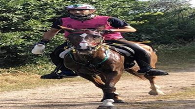 الفارس محمد عبدالمنعم يستعين بمدربين أجانب قبل المشاركة في بطولة العالم بالسعودية