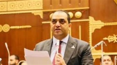 النائب محمد سعيد الدابى: جهود الدولة نجحت في تخطي 