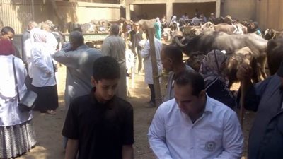 جامعة بنها تنظم قافلة بيطرية بقرية الحصة مركز طوخ