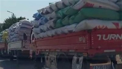 توريد 558510 أطنان قمح لـ 56 موقعًا تخزينيًا في الشرقية 