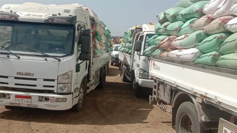 توريد القمح