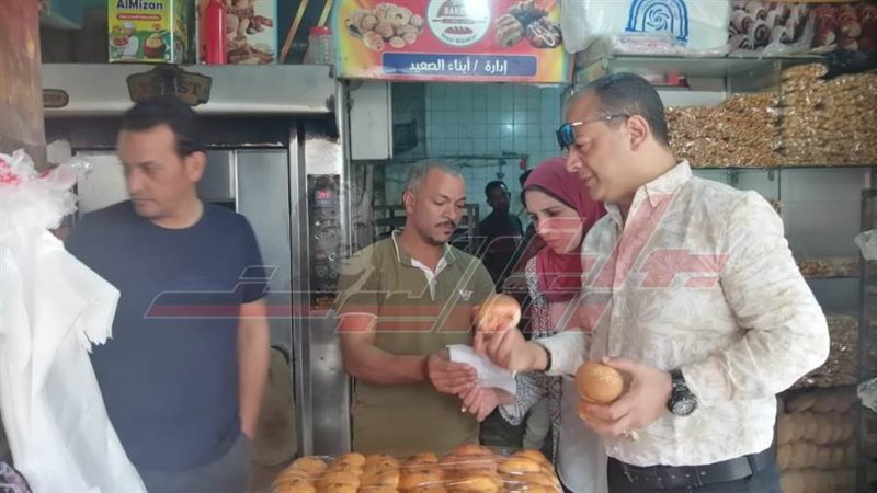 الحملات الرقابية