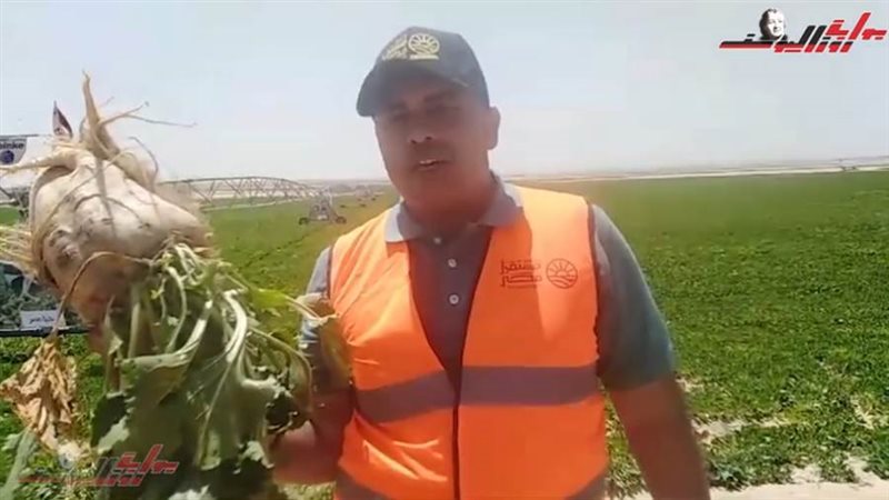 مهندس/ محمود عبد