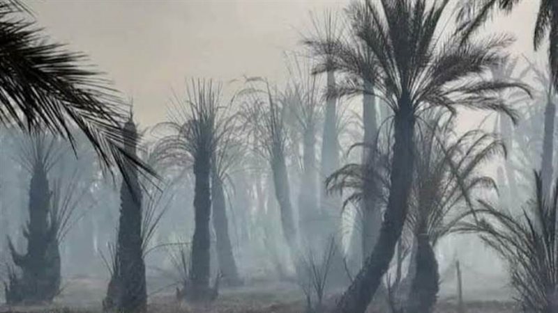 حادث ارشيفيه