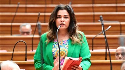 عضو النواب: الحكومة تمنح قطاع السياحة اهتمامًا واسعًا