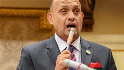 هشام الجاهل: مشروع مستقبل مصر أحد المشاريع العملاقة الطموحة بالجمهورية الجديدة