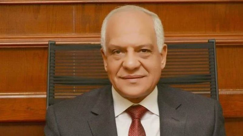 محافظ الجيزة أحمد