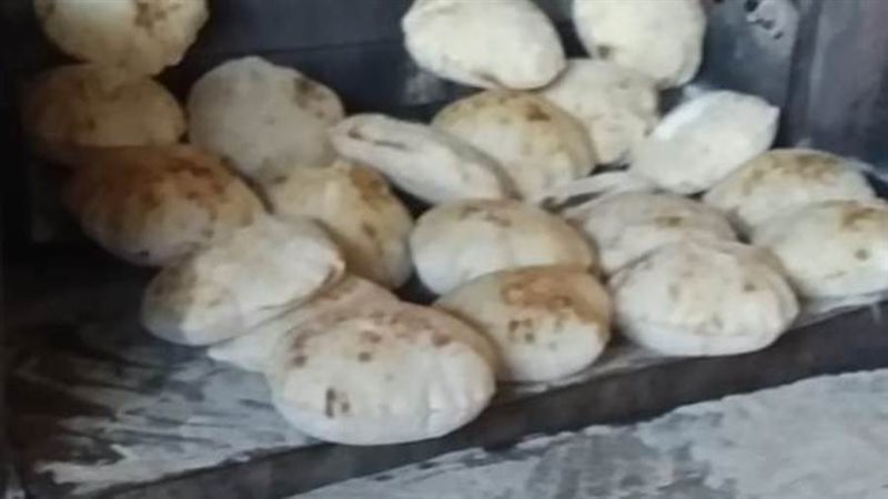 حملة تموينية