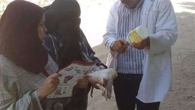 بيطري المنيا: قوافل بيطرية مجانية بقرى بني مزار بالمنيا