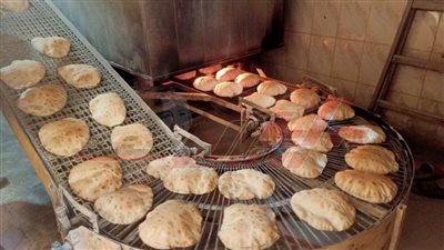 تحرير 21 محضر مخالفات تموينية بقلين في كفر الشيخ