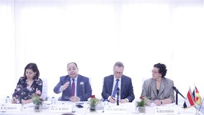 عاجل.. وزير المالية يكشف عن إجراءات لتشجيع استثمارات القطاع الخاص 