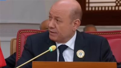 فى القمة العربية الـ33.. 