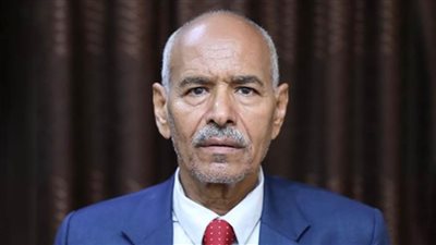 وزير خارجية السودان: الانتهاكات الإسرائيلية في غزة ازدراء لكل المواثيق الدولية