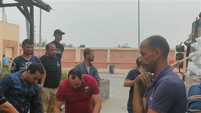 ارتفاع معدلات توريد القمح إلى 193 ألف طن بشون وصوامع وهناجر البحيرة