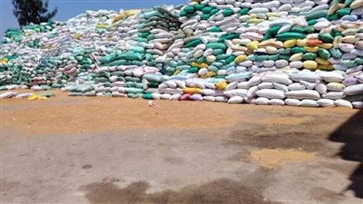 توريد 572588 طنًا من الأقماح لـ56 موقعًا تخزينيًا بالشرقية