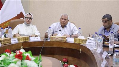 سحب الأراضي المخصصة لـ17 شركة في الوادي الجديد