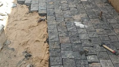 محافظ أسوان: 