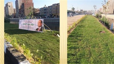 بالصور.. غرس أشجار مثمرة وزينة في طنطا بالغربية