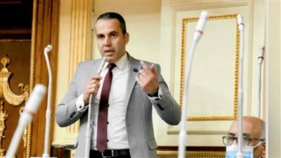 النائب محمد رضا البنا: نشكر القيادة السياسية على إنشاء مستشفى عام بالمرج