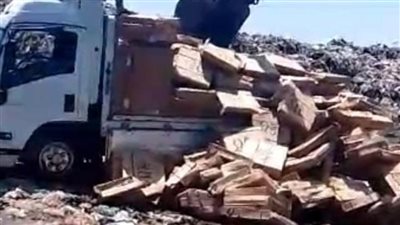 شاهد إعدام 32 طن سمك سردين غيرصالح للاستهلاك الادمى ودفنها خارج الكتلة السكنية 