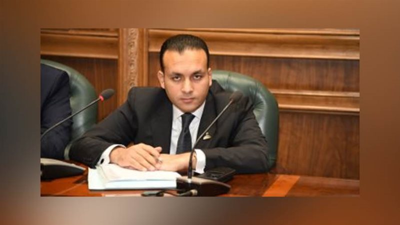 النائب عمرو فهمي