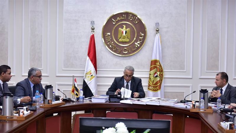 وزير العمل حسن شحاتة