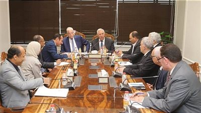 وزير الزراعة يستقبل محافظ جنوب سيناء بالعاصمة الادارية الجديدة