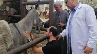 قافلة بيطرية تعالج مواشي وطيور قرية 