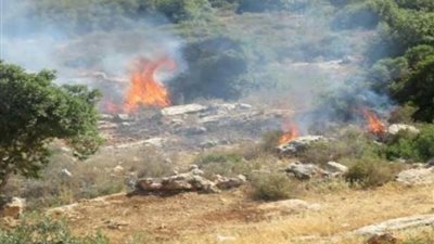 النيران تأتي على عشرات الدونمات الرعوية في الأغوار الشمالية