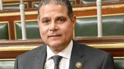 برلماني: انضمام مصر لدعوى جنوب أفريقيا أمام «العدل الدولية» سيفضح أعمال الإبادة لجيش الاحتلال