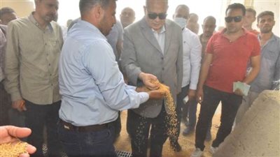 محافظ أسيوط يعلن استلام 137 ألف طن قمح محلي بجميع الشون والصوامع التخزينية