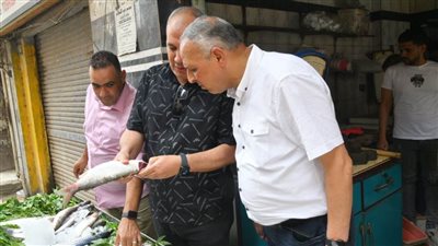  بالصور.. لجان تفتيشية على المحلات والمطاعم والمخابز في حي ثان المحلة ترصد مخالفات