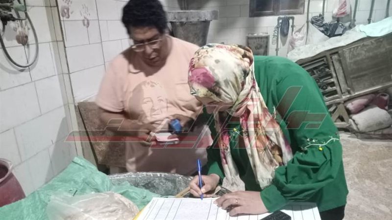 الحملات الرقابية